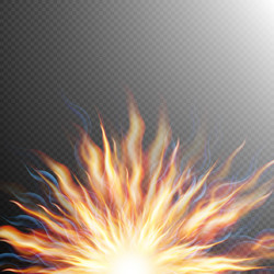 Similar image 11453628