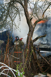 Similar image 11452135