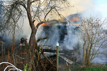 Similar image 11452136