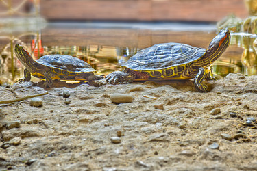 Similar image 11452551