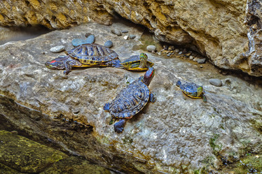 Similar image 11452552