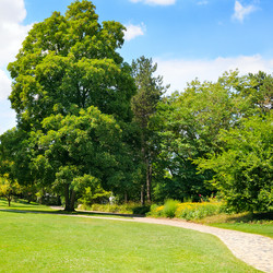 Similar image 11459252