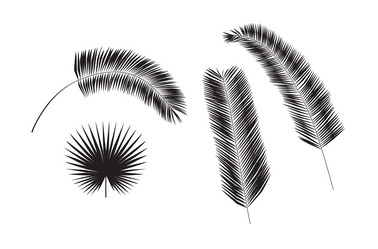 Similar image 11460081