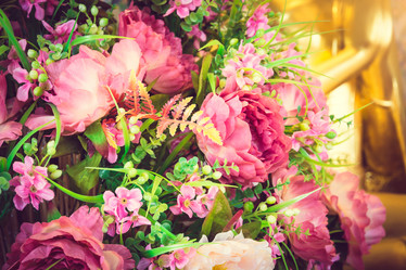 Similar image 11459158