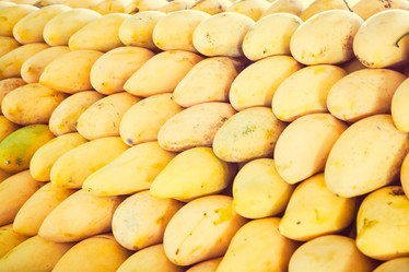 Similar image 11459163