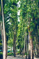 Similar image 11459164