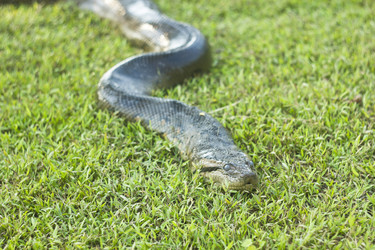 Similar image 11468242