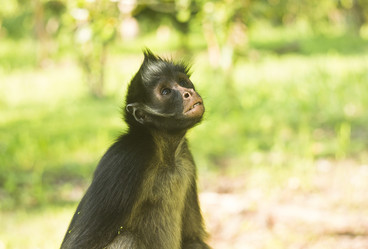 Similar image 11468243