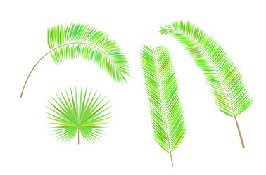 Similar image 11460105