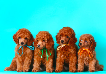 Similar image 11452556