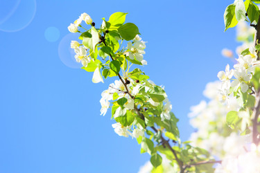 Similar image 11452558