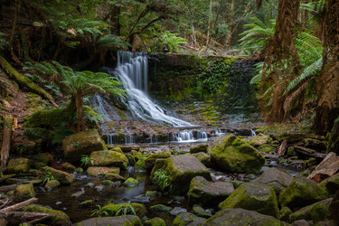 Similar image 11459447