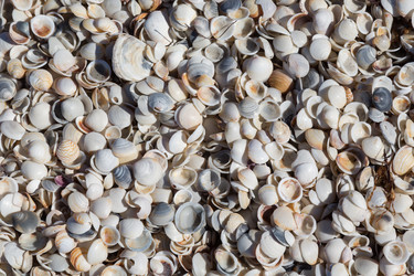 Similar image 11459470