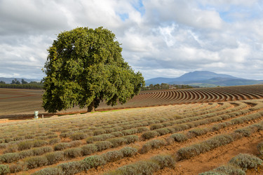 Similar image 11459473