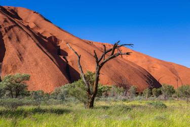 Similar image 11459483