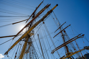 Similar image 11459453