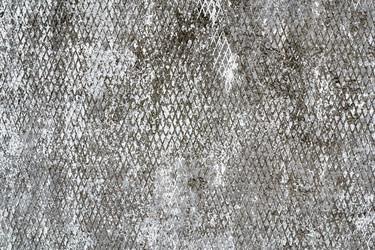 Similar image 11451981