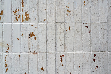 Similar image 11451989