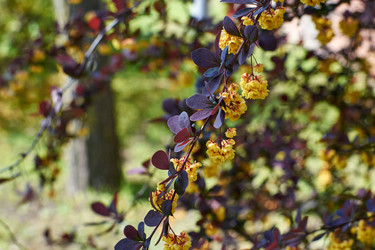 Similar image 11451996