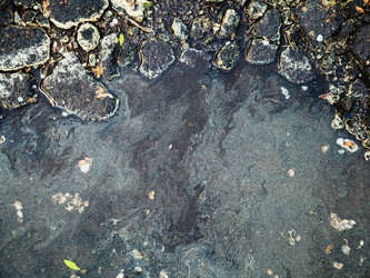 Similar image 11463097