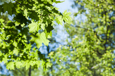 Similar image 11463112