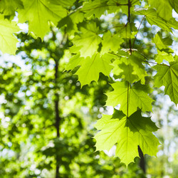 Similar image 11463133