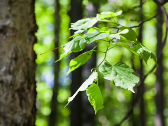 Similar image 11465950