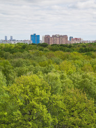 Similar image 11465979