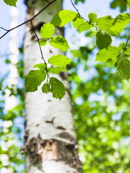 Similar image 11465987