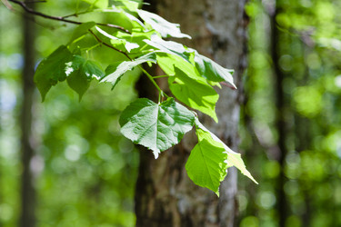 Similar image 11465989