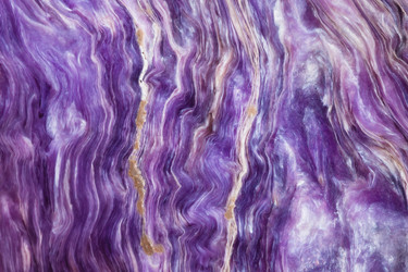 Similar image 11465996