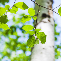 Similar image 11466031