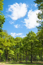 Similar image 11463039