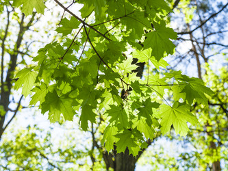 Similar image 11463063