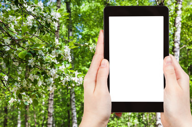 Similar image 11463094