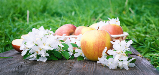 Similar image 11458980