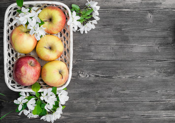 Similar image 11458981