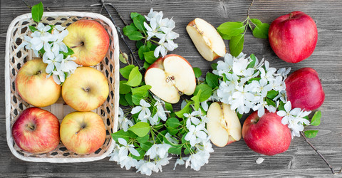 Similar image 11458982