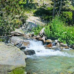 Similar image 11459233