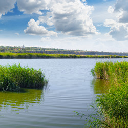 Similar image 11459261