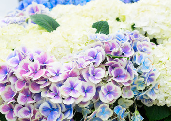 Similar image 11453501