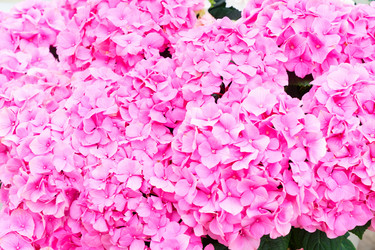 Similar image 11453538