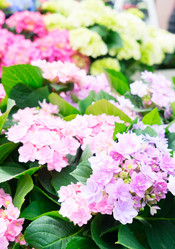 Similar image 11453539