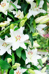 Similar image 11453541