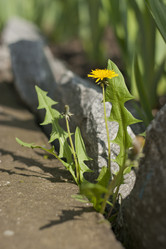 Similar image 11458939