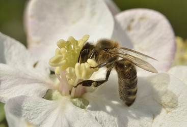 Similar image 11458940