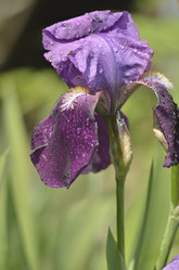 Similar image 11458941