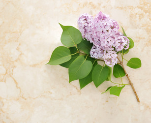 Similar image 11461473