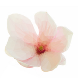 Similar image 11453546