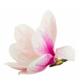 Similar image 11453547